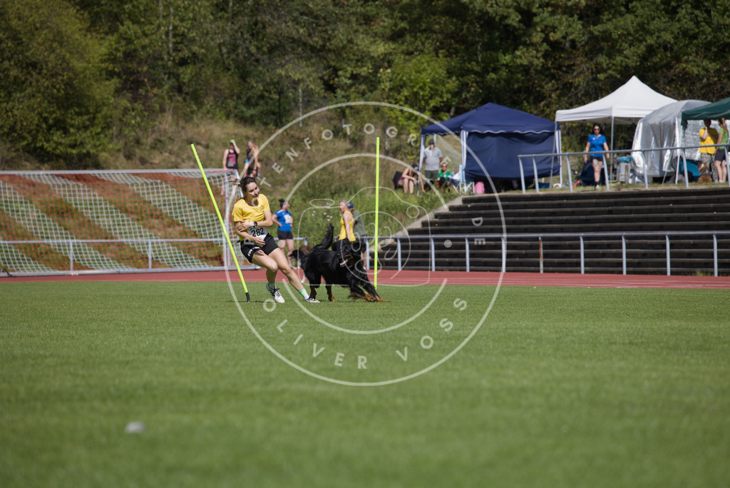 0L8A6842 | Hundefotografie, Tierfotograf, Pfotenfotografie, Fotoshooting Hund, Hunde Portrait, Hundesport, Hundeportraits, Heideshooting, Hunde, Sportfotograf, Hundefotograf, Turnierhundsport, THS,  - Realisiert mit Pictrs.com