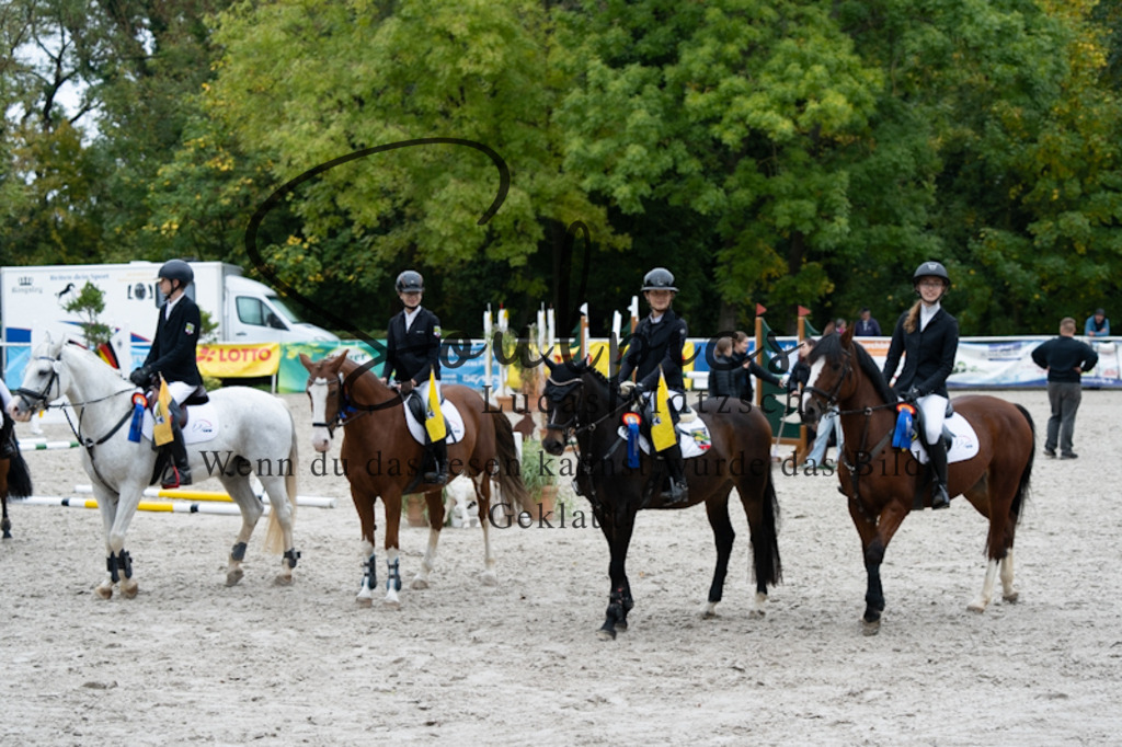 A7V00170 | Pferdefotograf