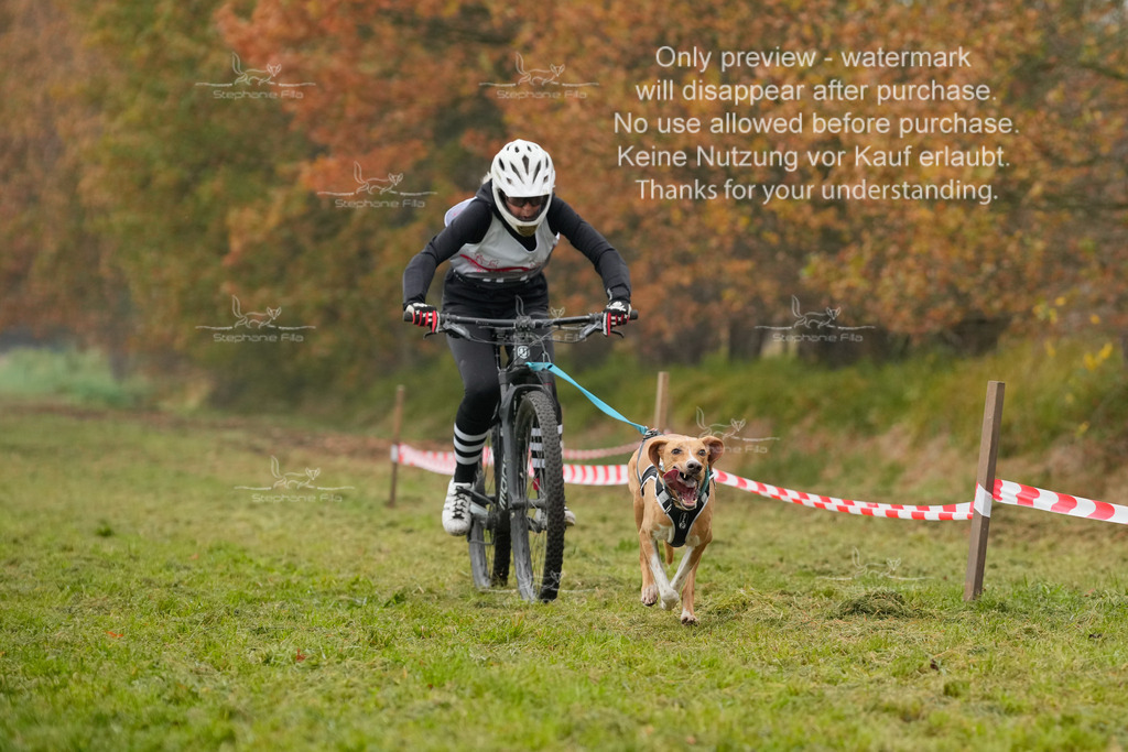 Visbeck_Sa_Bike-46 | stephaniefillaphotographie - Realisiert mit Pictrs.com