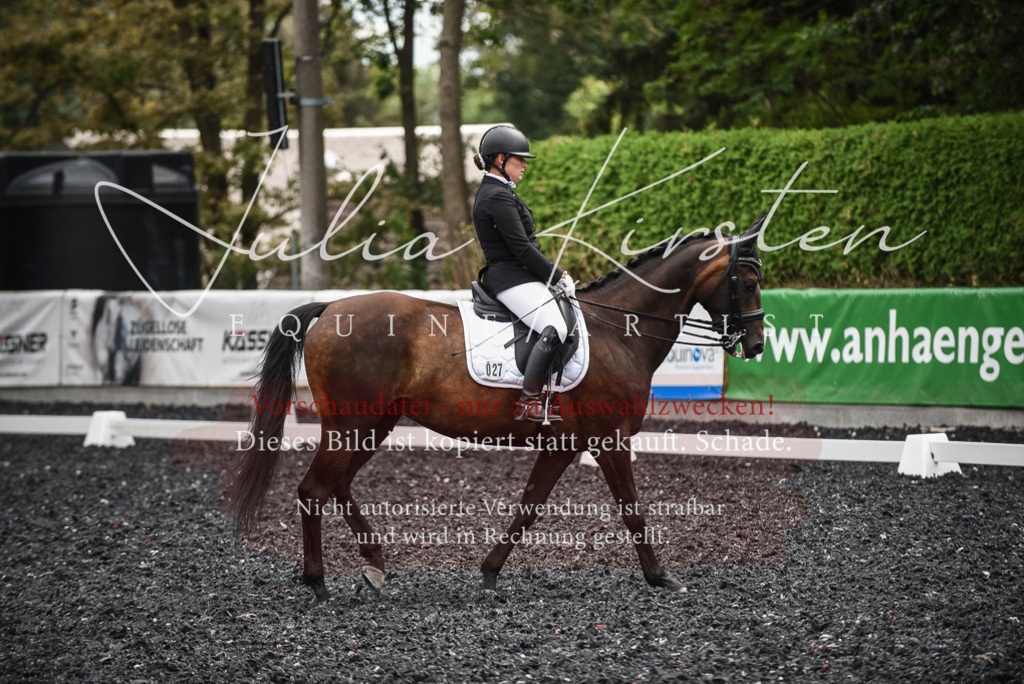 DSC_4877 | Pferde- und Turnierfotografie in Westsachsen. Pferdeportraits, Auftragszeichnungen und intuitive Kunst.