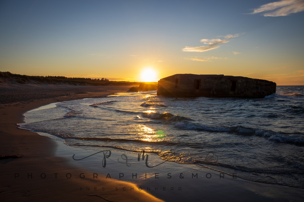 _Sommer2022-0771 | Photographies and more - Realisiert mit Pictrs.com