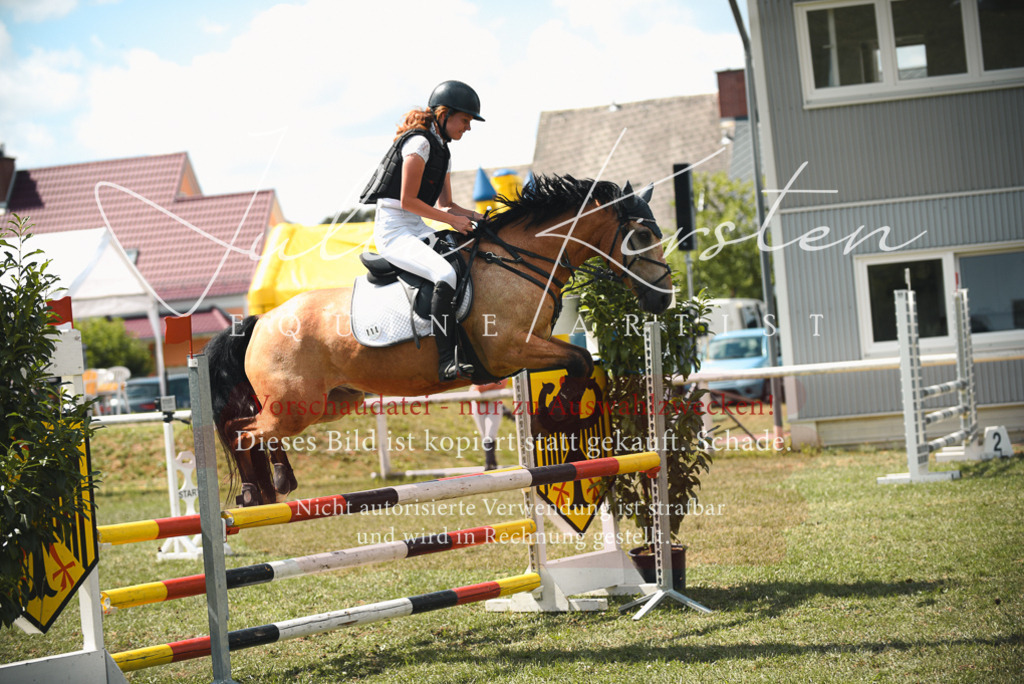 DSC_6783 | Pferde- und Turnierfotografie in Westsachsen. Pferdeportraits, Auftragszeichnungen und intuitive Kunst.