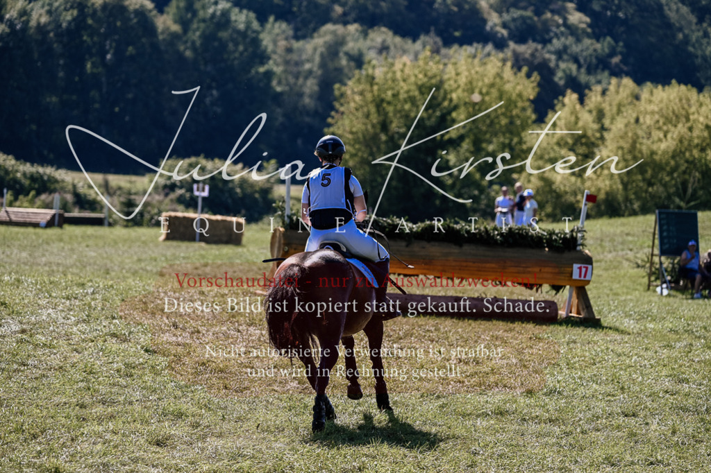 DSC_1531 | Pferde- und Turnierfotografie in Westsachsen. Pferdeportraits, Auftragszeichnungen und intuitive Kunst.