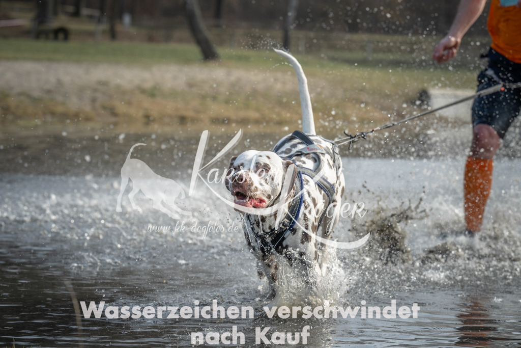 1054_ZZ90606 | kk-dogfotos