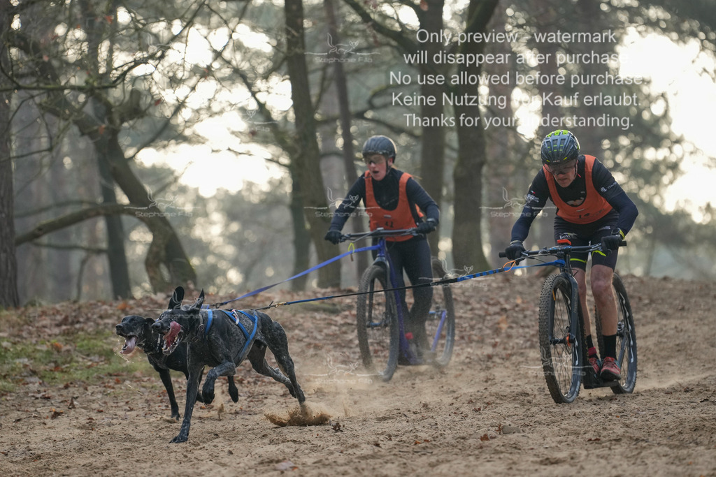 Scooter1-60 | stephaniefillaphotographie - Realisiert mit Pictrs.com