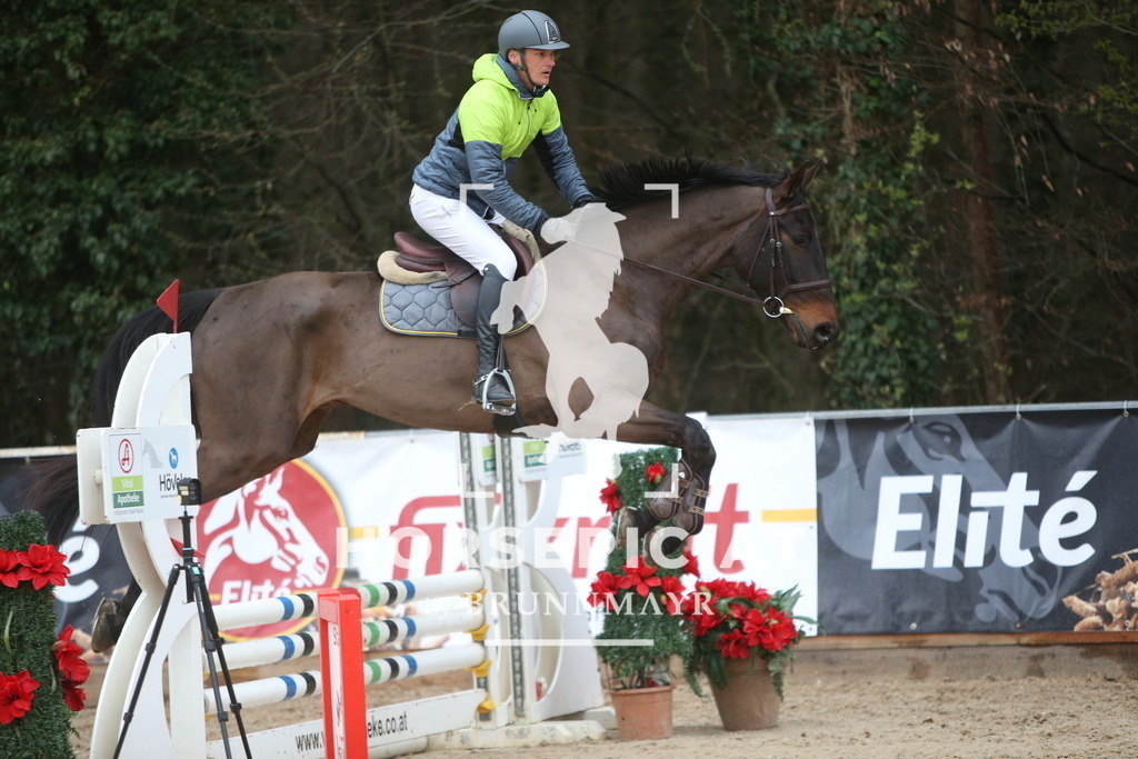 AS8V0722 | Willkommen bei Brunnmayr - Design & Fotografie – Ihrem Spezialisten für Reitturniere und Pferdeveranstaltungen in Oberösterreich, Salzburg und Bayern! Seit über 17 Jahren sind wir leidenschaftlich dabei.