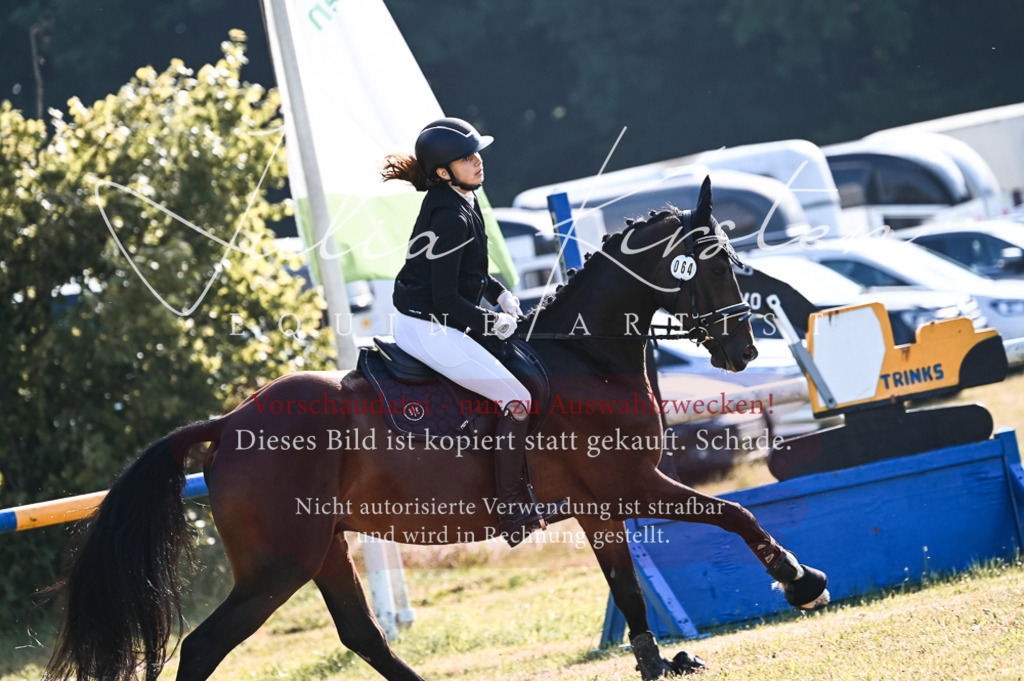 DSC_7583 | Pferde- und Turnierfotografie in Westsachsen. Pferdeportraits, Auftragszeichnungen und intuitive Kunst.