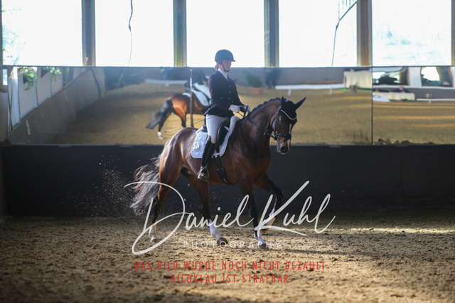 IMG_2155 | Turniersportfotografie; Pferdefotografie; Dressurfotografie