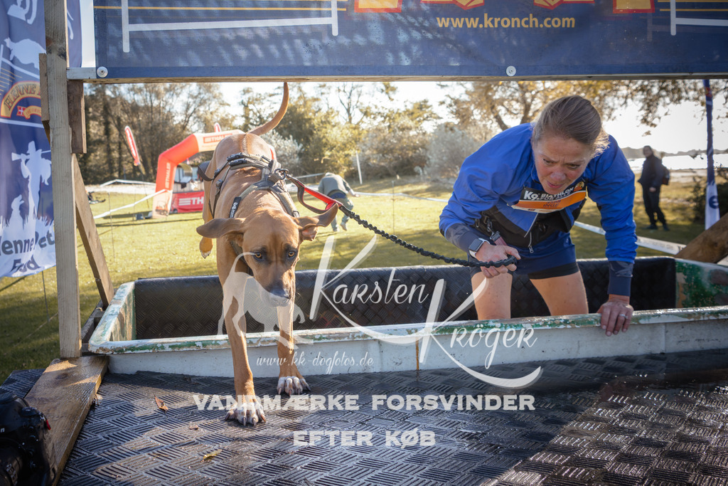 1210_ZZ94841 | kk-dogfotos