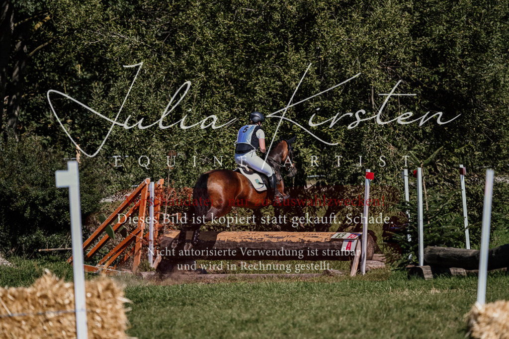 DSC_1517 | Pferde- und Turnierfotografie in Westsachsen. Pferdeportraits, Auftragszeichnungen und intuitive Kunst.