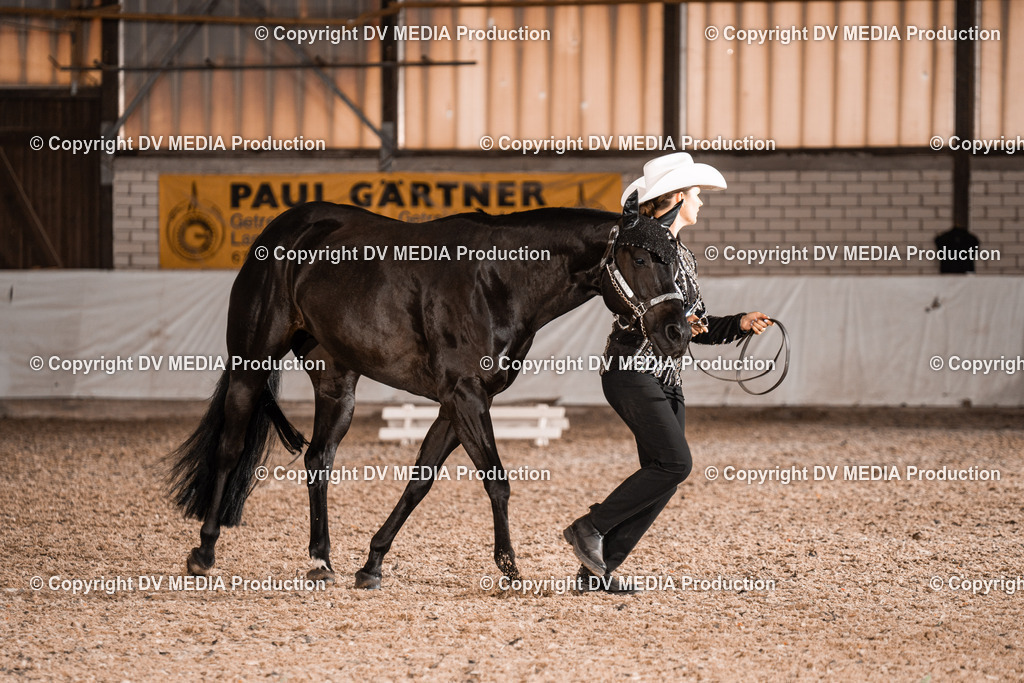 ZH200176 | dv-media-shop - Realisiert mit Pictrs.com