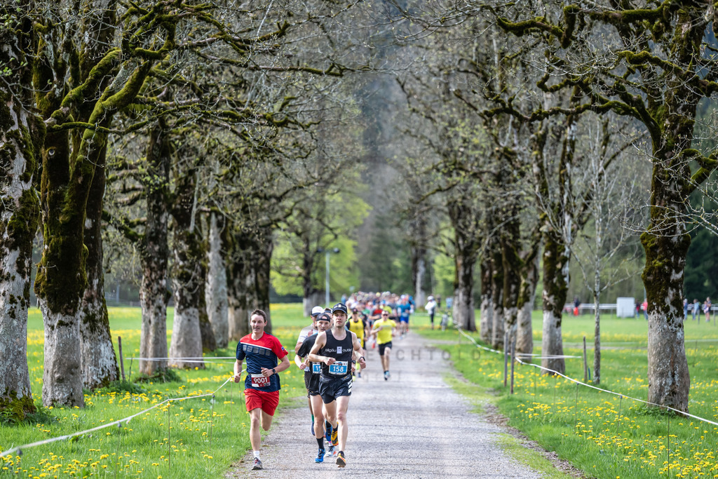Oberstdorfer Gebirgstälerhalbmarathon | Oberstdorfer Gebirgstälerhalbmarathon am 07.05.2023 in Oberstdorf. 



(Foto: Dominik Berchtold)

B-IS SPO