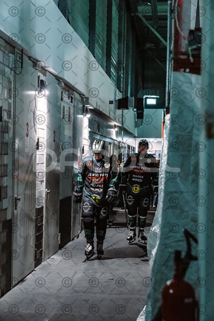 Alligators_vs_Toelz_18_11_2025-08 | Höchstadt Alligators Fotogalerie: Eishockey-Action aus Franken. Professionelle Spielfotos, Portraits & Stadionbilder zum Download. Jetzt entdecken! - Realisiert mit Pictrs.com