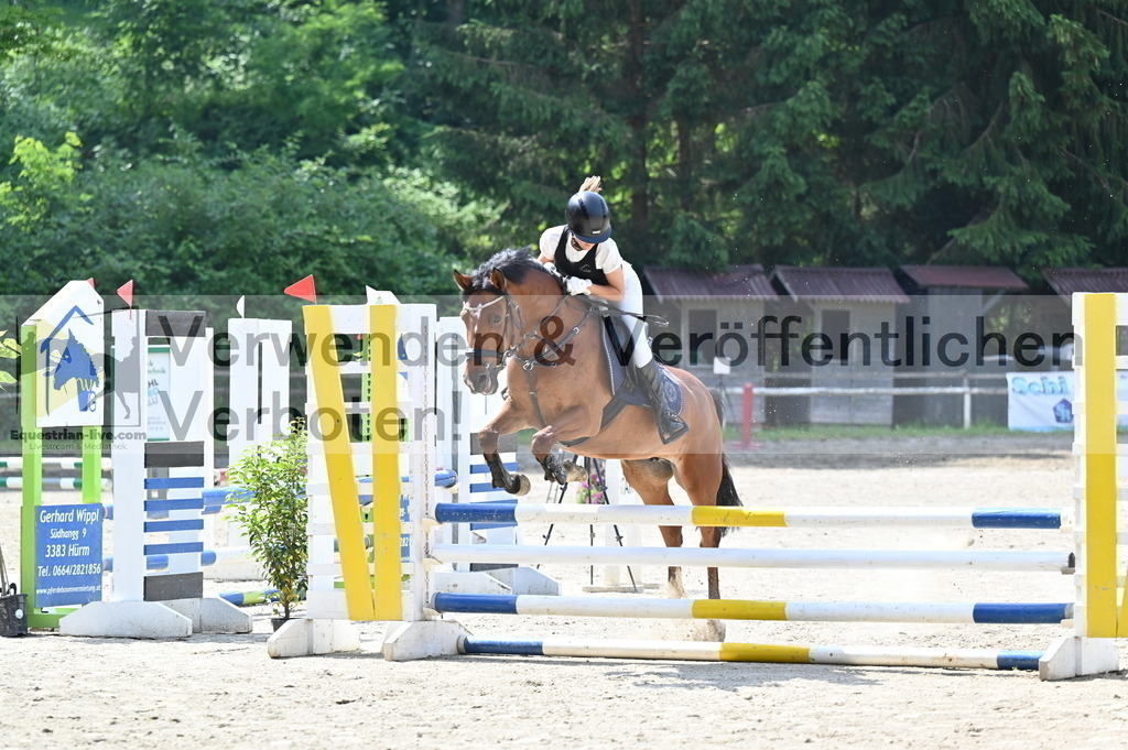 DSC_4108 | equestrian-live-com