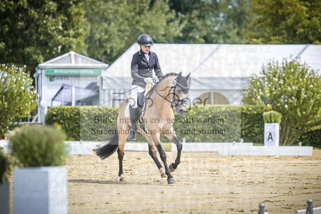 DOS_0347 | Entdecke hochwertige Reitturnierfotos von Foto Oger. Professionell, emotional und authentisch – jetzt Lieblingsmomente im Shop bestellen.Deutschlandweite Turnierfotografie. - Realisiert mit Pictrs.com