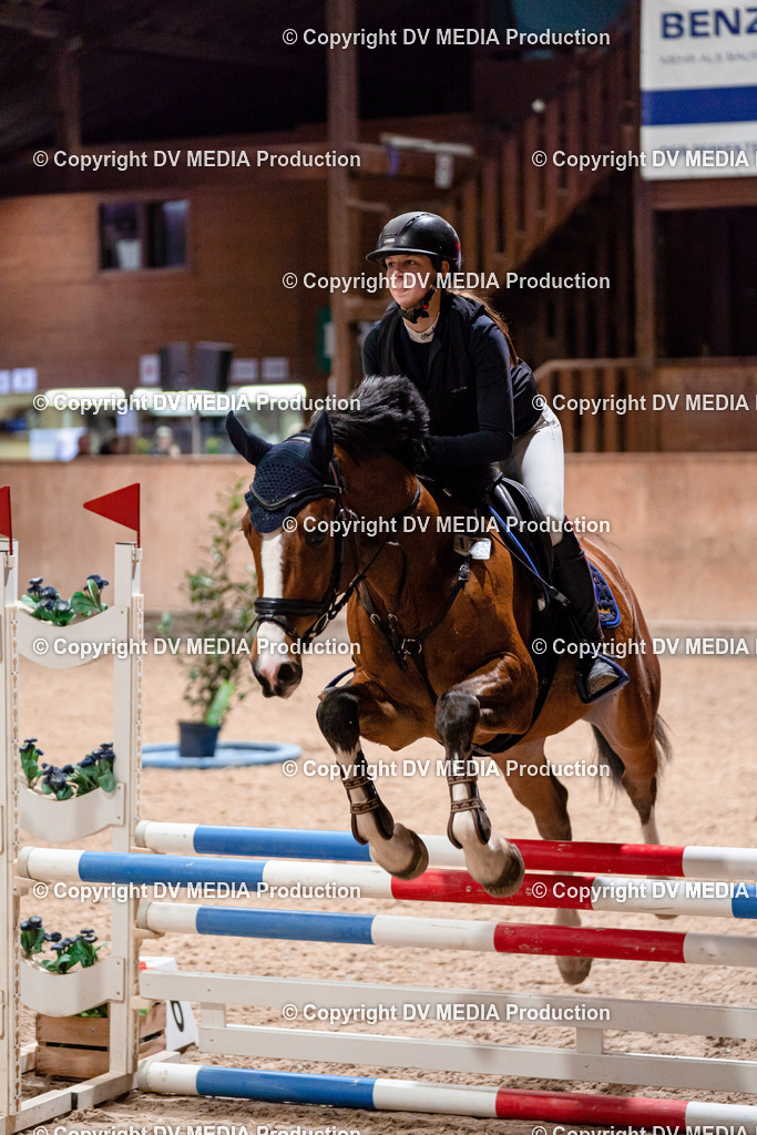 Springen Tag 1-102 | dv-media-shop - Realisiert mit Pictrs.com