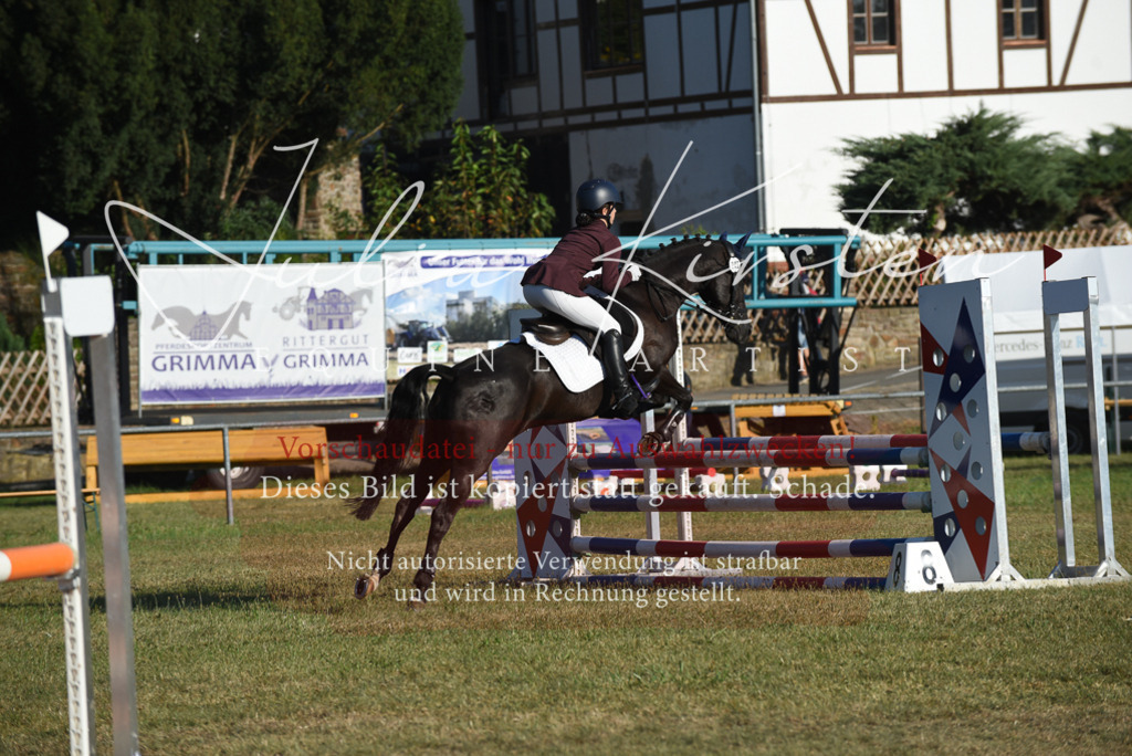 DSC_5080 | Pferde- und Turnierfotografie in Westsachsen. Pferdeportraits, Auftragszeichnungen und intuitive Kunst.