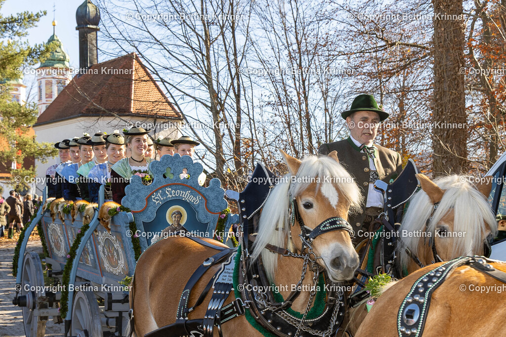 LBT25-1082 | foto-bettina-krinner - Realisiert mit Pictrs.com