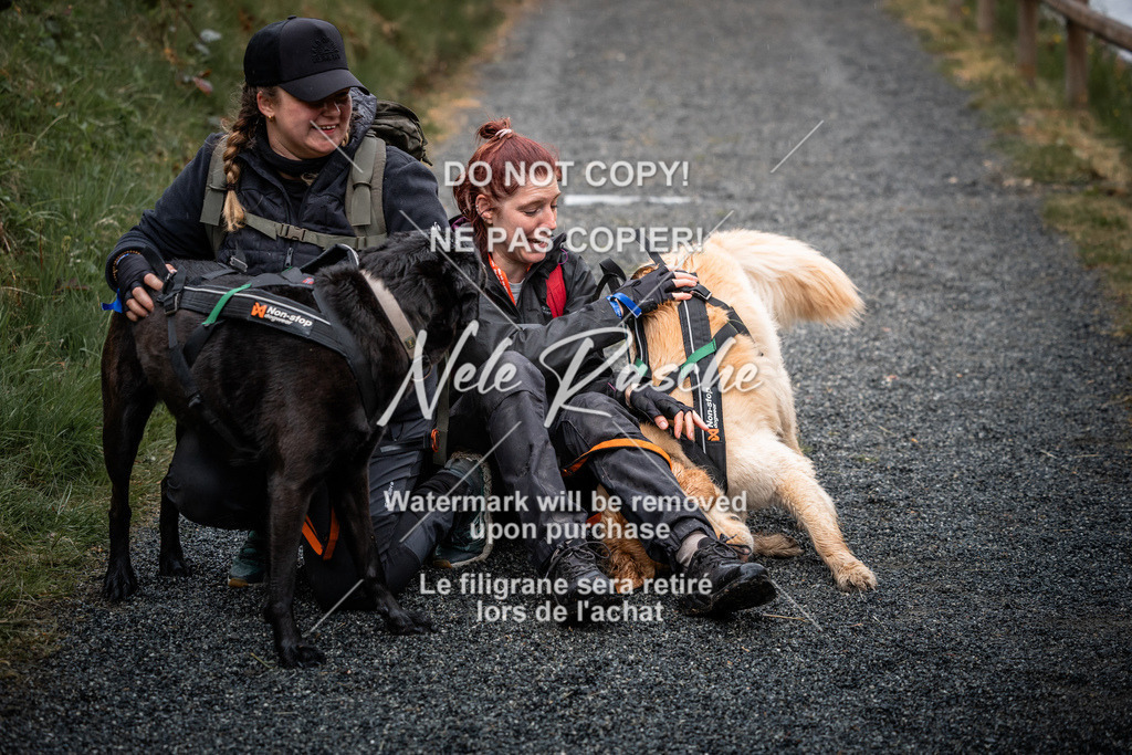 nelerasche_SaAbends_345 | nelerasche