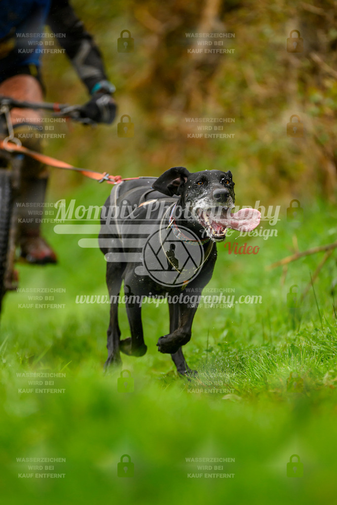 MompixPhotography_20TSB_E8_Bike-70 | PayLife