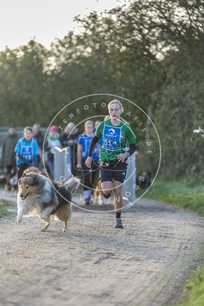 Pfotenfotografie.de_DV3A2488 | Hundefotografie, Tierfotograf, Pfotenfotografie, Fotoshooting Hund, Hunde Portrait, Hundesport, Hundeportraits, Heideshooting, Hunde, Sportfotograf, Hundefotograf, Turnierhundsport, THS, canicross - Realisiert mit Pictrs.com