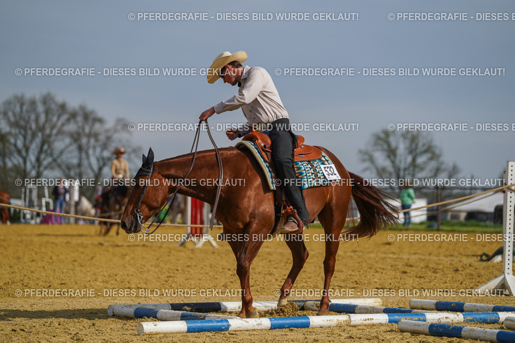 DSC01496 | Pferdegrafie