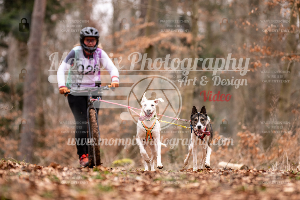 AKM_ST_2023_SAM_DS2-75 | PayLife