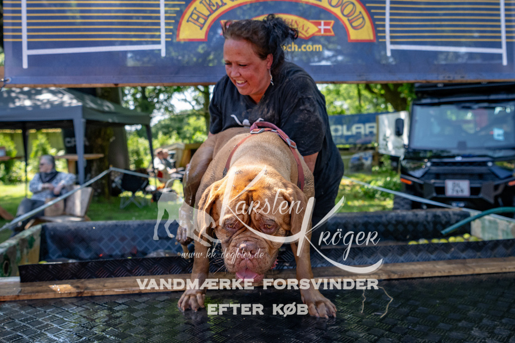 1334_ZZ91687 | kk-dogfotos
