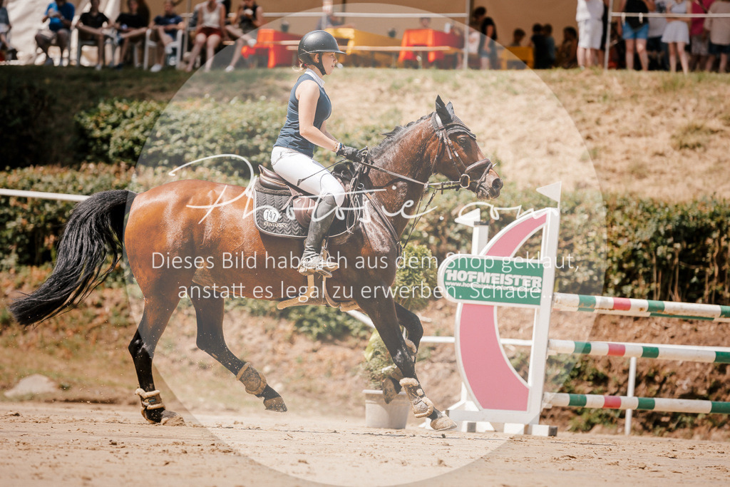 3I6A7880 | Stimmungsvolle Portraits und Reitsportfotografie im Ruhrgebiet und im Münsterland.

Pferdefotografie, Hundefotografie, Tierfotografie, Reportagen, Portraits von Tier und Mensch, Turnierfotografie in Bochum, Recklinghausen, Marl, Haltern am See, Dülmen.. - Realized with Pictrs.com