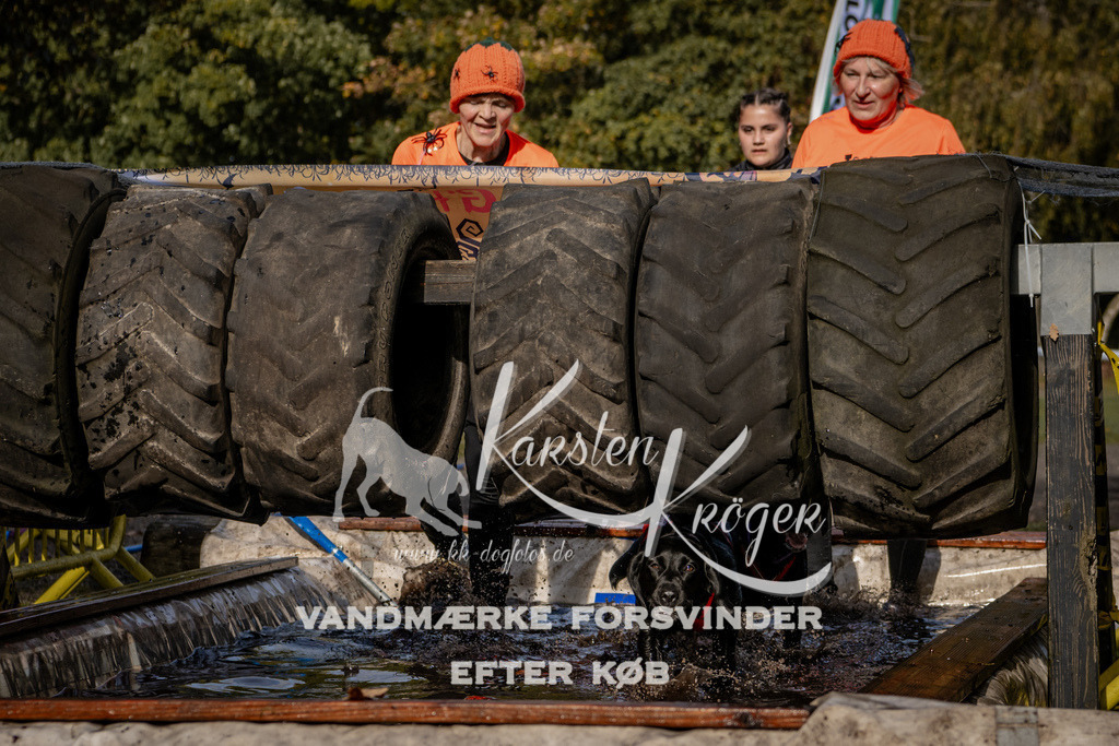 1359_ZZ93577 | kk-dogfotos