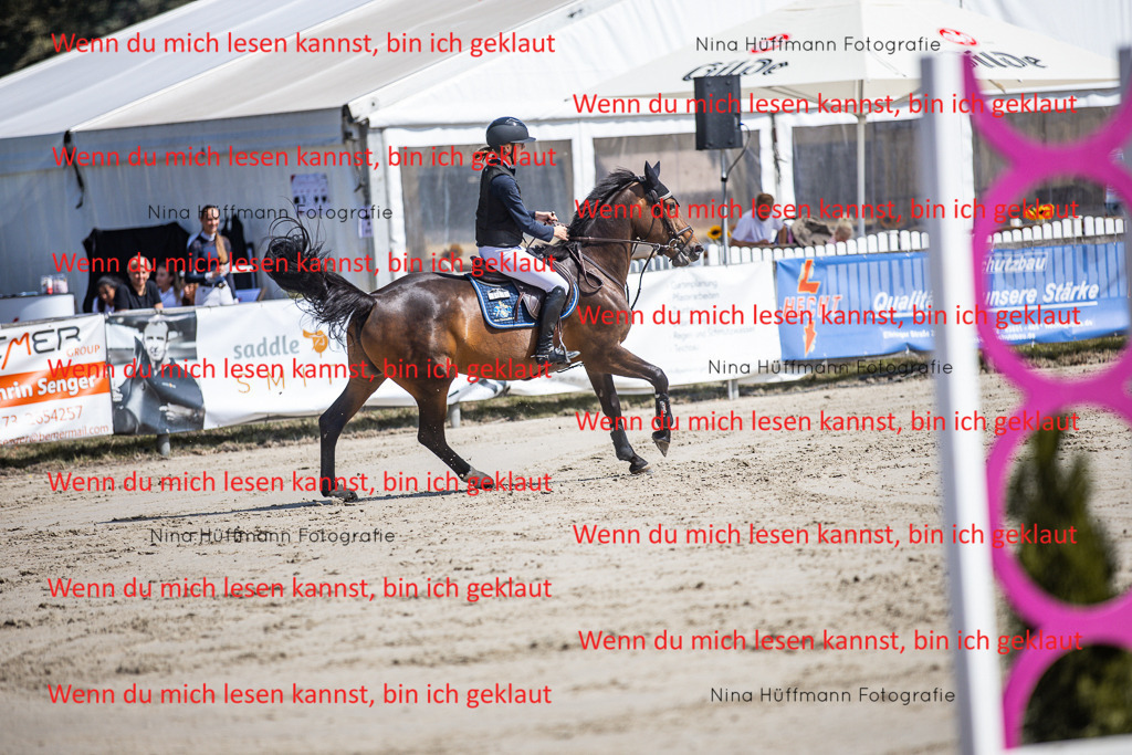 BK1A6606 | Turnierbilder Turnierfotos Nina Hüffmann Turnierfotografie Pferdefotografie Tierzeichnung Haustierzeichnung Pferdezeichnung Hundezeichnung Videograf  - Realisiert mit Pictrs.com