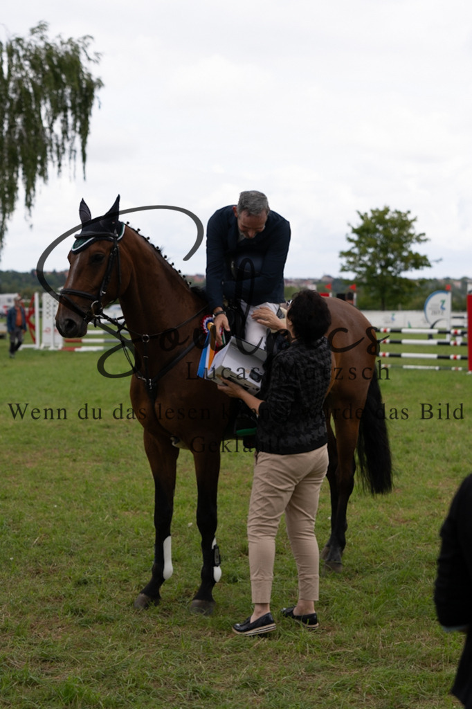 A7V04035 | Pferdefotograf