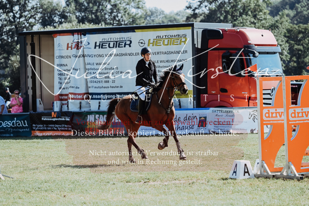 DSC_5789 | Pferde- und Turnierfotografie in Westsachsen. Pferdeportraits, Auftragszeichnungen und intuitive Kunst.