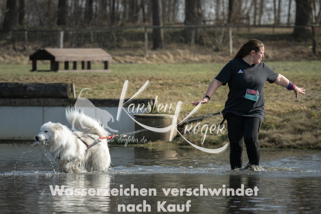 1302_ZZ93948 | kk-dogfotos