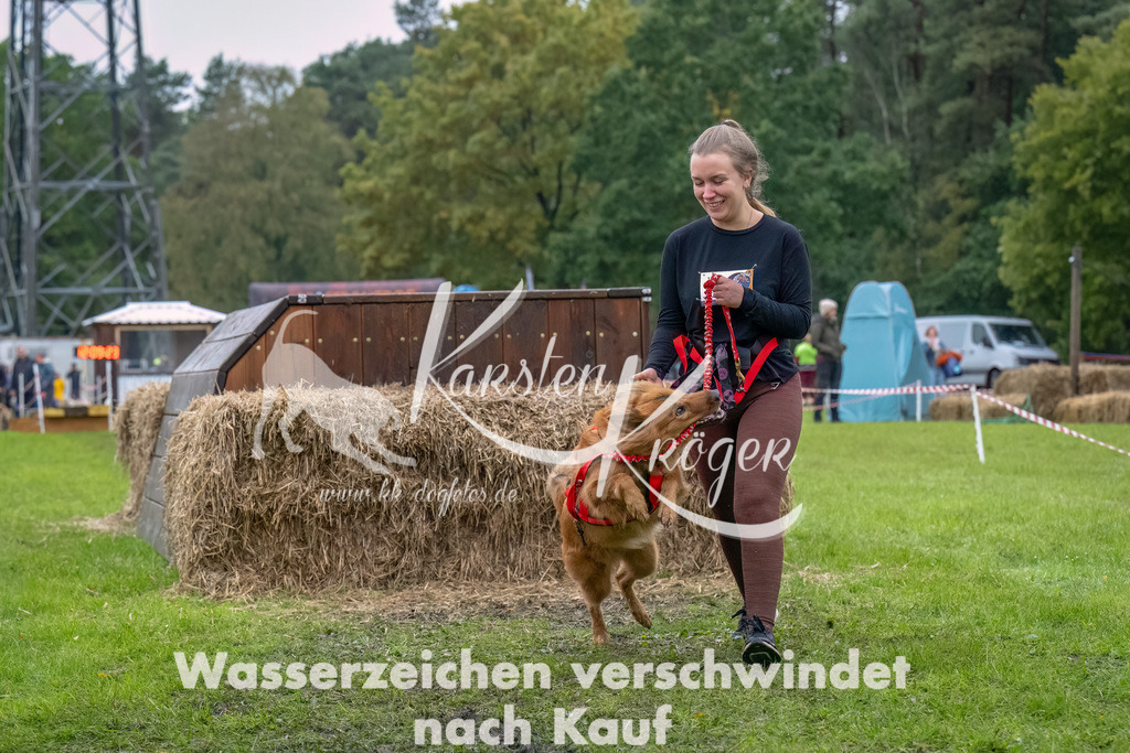 1210--24 | kk-dogfotos