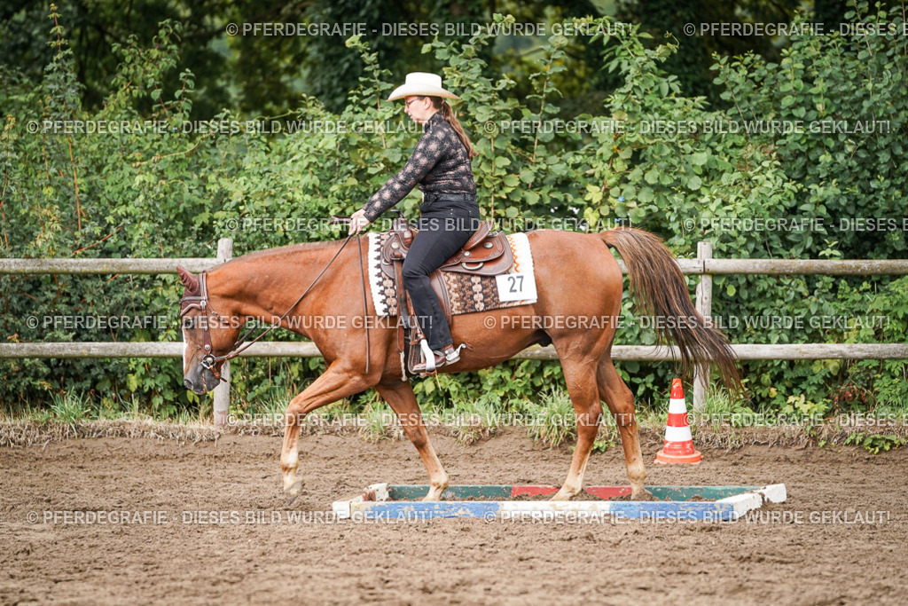 DSC04003 | Pferdegrafie