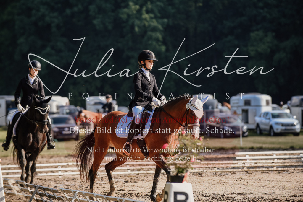 DSC_7869 | Pferde- und Turnierfotografie in Westsachsen. Pferdeportraits, Auftragszeichnungen und intuitive Kunst.