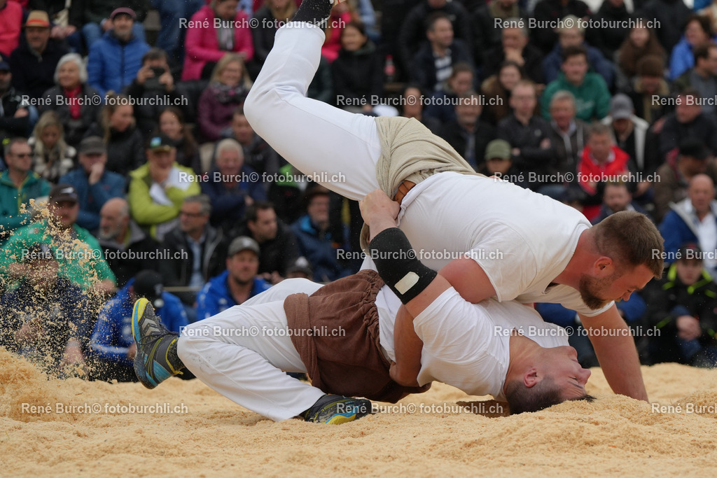 RB_04540 | René Burch leidenschaftlicher Fotograf aus Kerns in Obwalden.  Hier finden sie Sport, Landschaft und Natur Fotografie.
 - Realisiert mit Pictrs.com