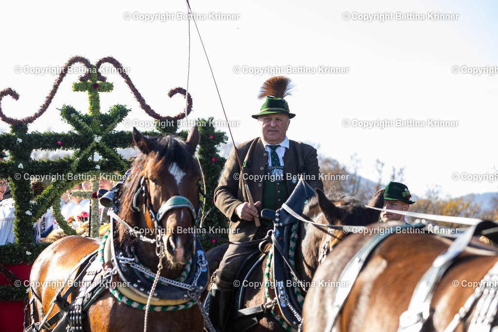 LBT24-1209 | foto-bettina-krinner - Realisiert mit Pictrs.com