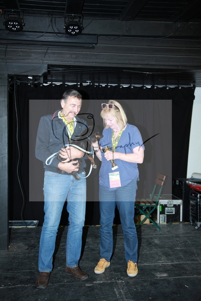 IMG_5571 | Gerhard Witt