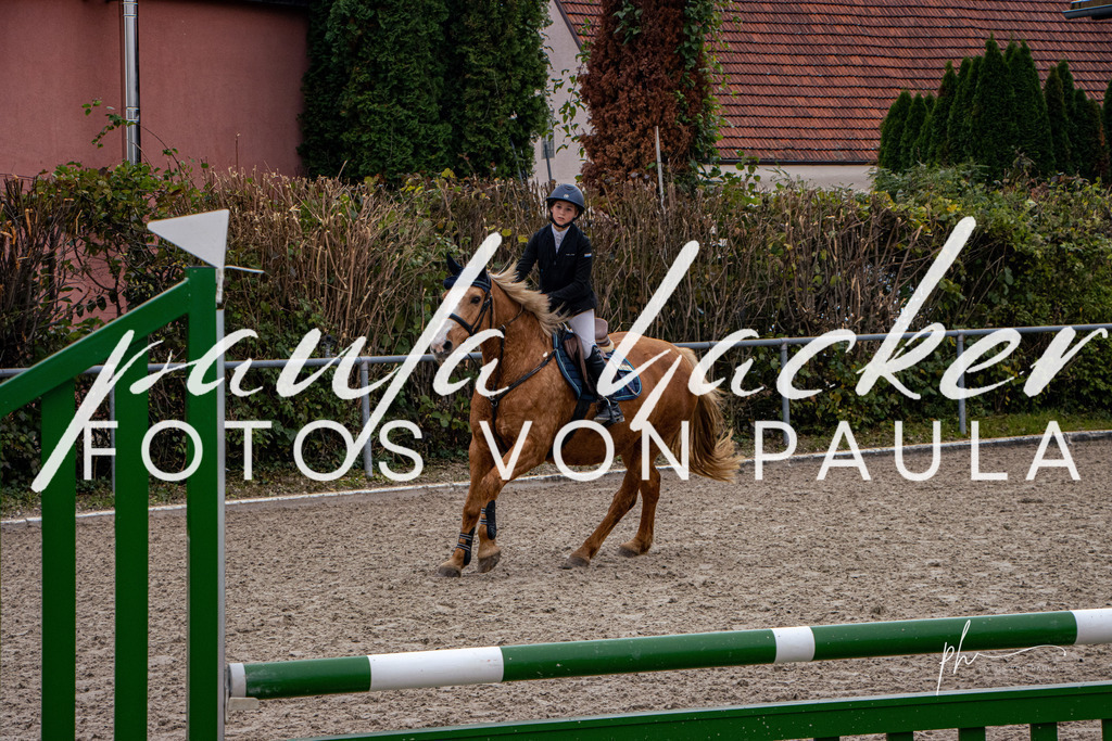 IMG_3637 | Erleben Sie dynamische Sport- und emotionale Tierfotografie in Süddeutschland mit Fotos von Paula. Spezialisiert auf Pferde- und Hundefotografie sowie Sportevents. Kontaktieren Sie mich für einzigartige und ausdrucksstarke Bilder Ihrer besonderen Momente. - Realisiert mit Pictrs.com