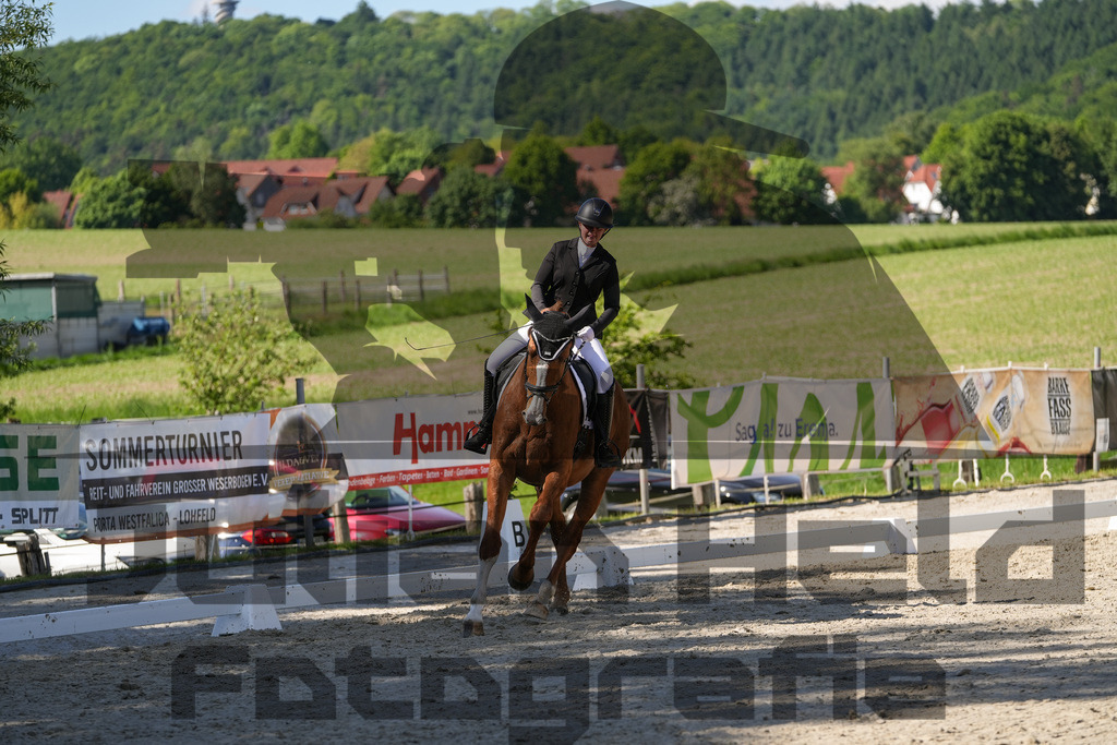 DSC00589 | Julian Held Fotografie - Realisiert mit Pictrs.com