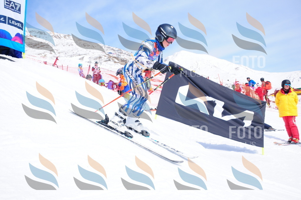 DSC_3320 | holidayphoto