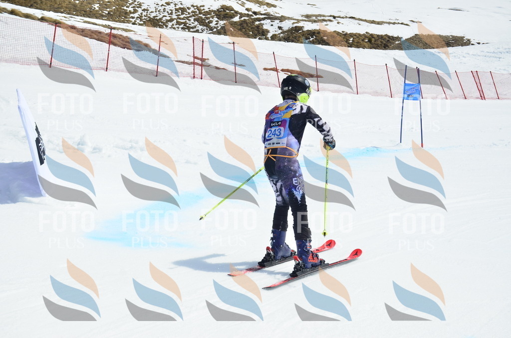 _ELE1766 | holidayphoto