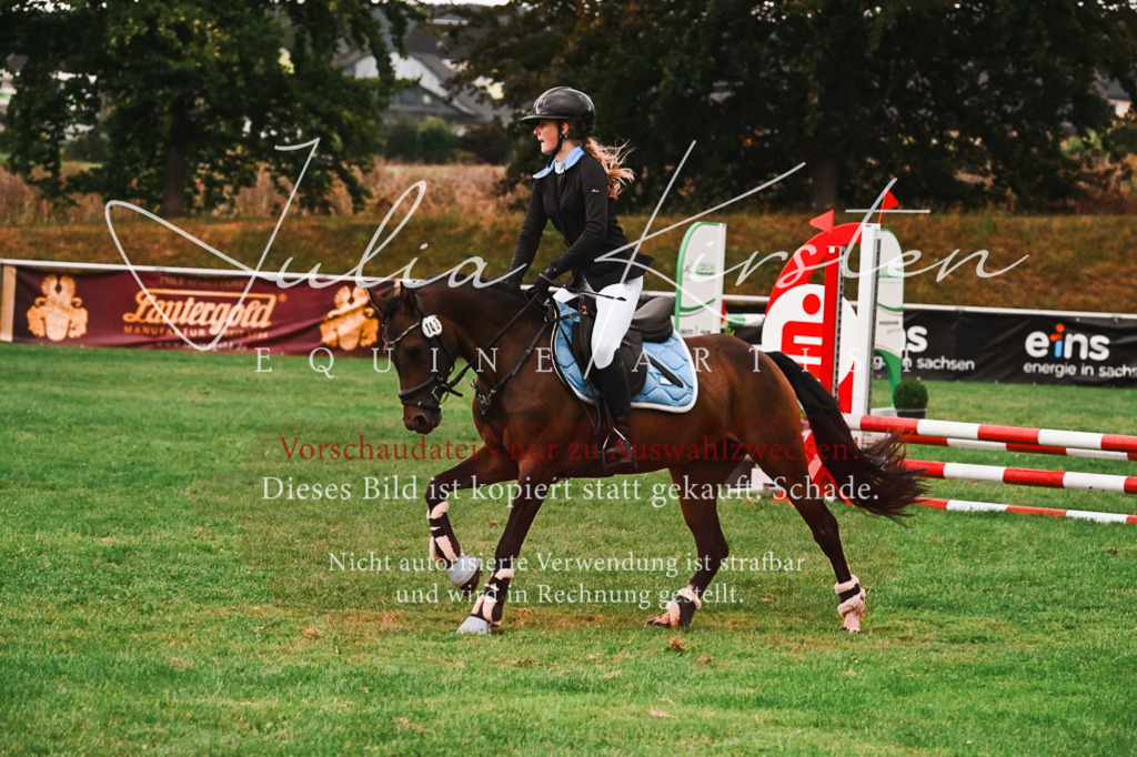 DSC_6160 | Pferde- und Turnierfotografie in Westsachsen. Pferdeportraits, Auftragszeichnungen und intuitive Kunst.