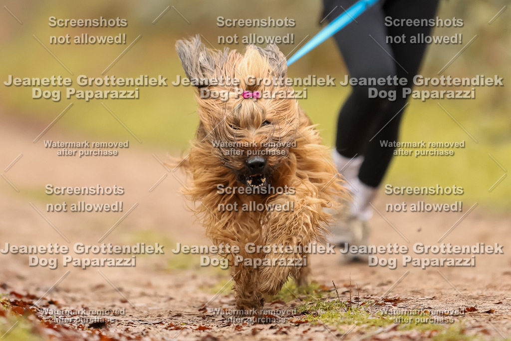 Dog Paparazzi - Speedhunter Mannheim  2025-175 | Dog Paparazzi Jeanette Grottendiek Fotografie & Videografie