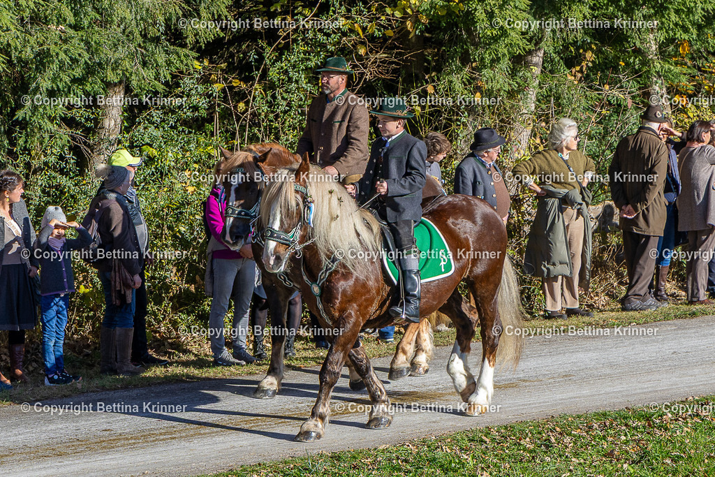 LBT25-822 | foto-bettina-krinner - Realisiert mit Pictrs.com