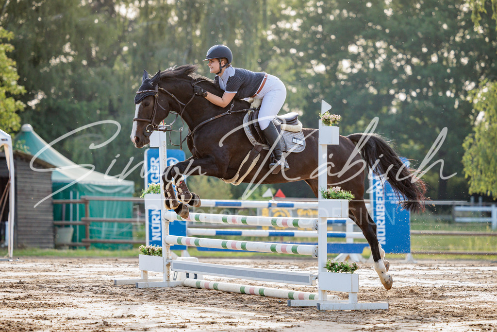 20260529-_3LI1195 | Tierfotografie Pferde, Hunde, Katzen, Haustiere.
Turnierfotografie Reitturniere, Reiten, Springreiten, Dressur in Hanau, dem Main-Kinzig-Kreis und dem Rhein-Main- Gebiet um Frankfurt
