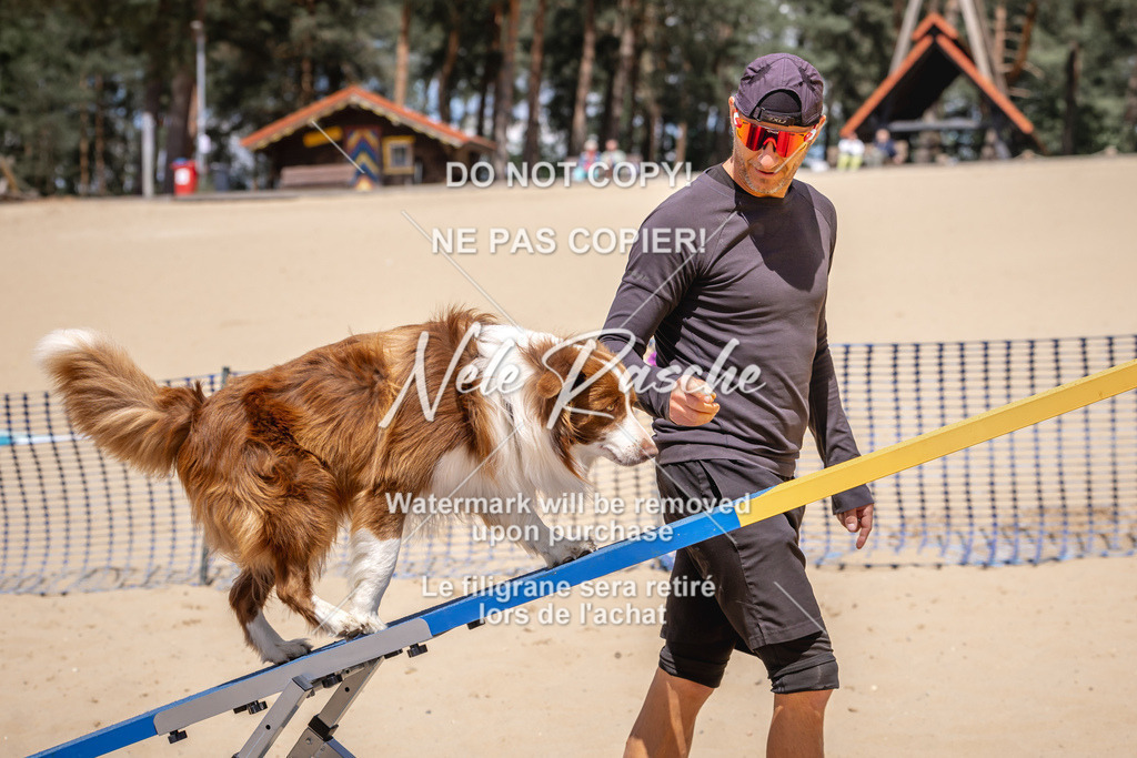 NR__2595 | nelerasche