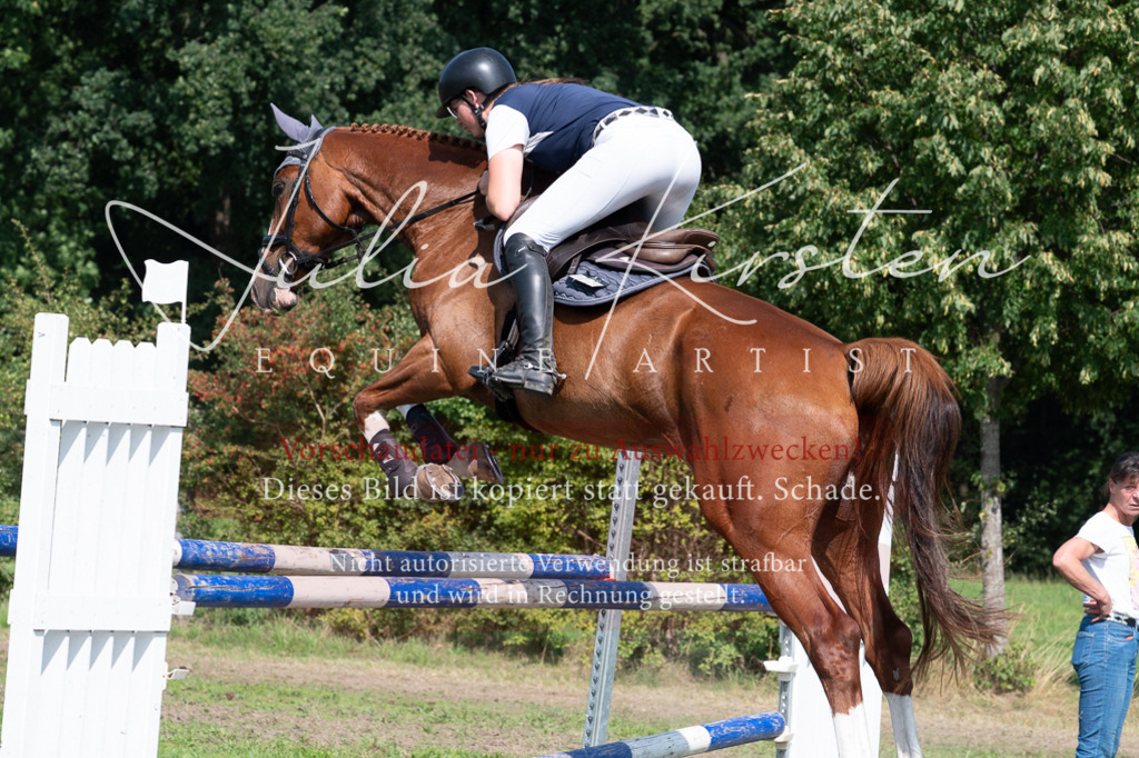 DSC_0884 | Pferde- und Turnierfotografie in Westsachsen. Pferdeportraits, Auftragszeichnungen und intuitive Kunst.